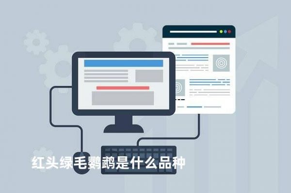 红头绿毛鹦鹉是什么品种