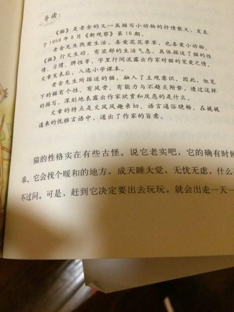 短文写了猫的哪些方面