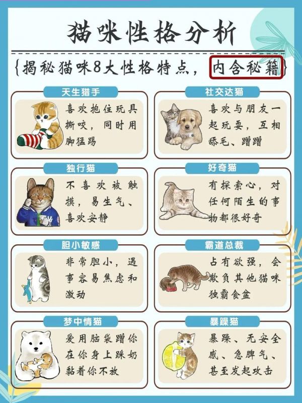 猫的生活习性（猫的生活特性和特点）