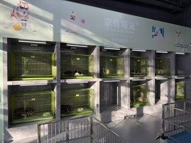 杭州宝藏宠物老店 大渝宠物