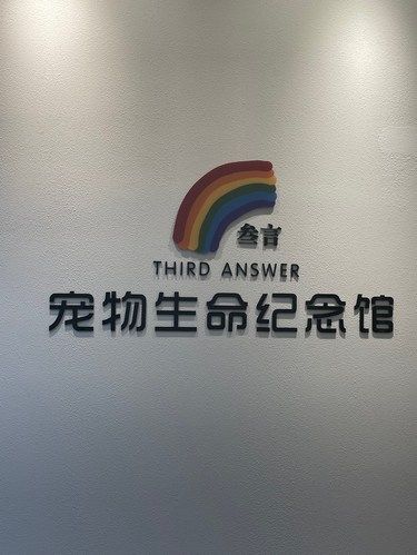 爱宠的离去就像是一场潮湿的雨！！！