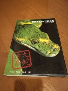 宠物蛇及爬虫专卖店