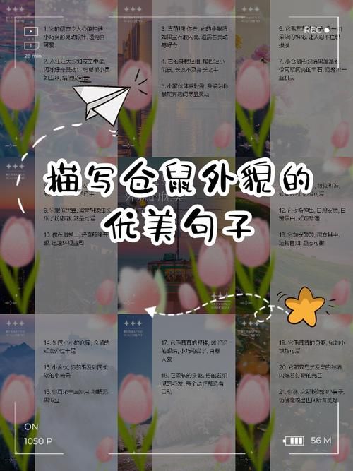 有哪些人描写仓鼠的作文