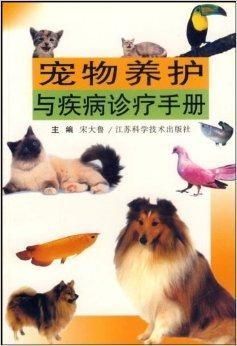 宠物猪养护指南