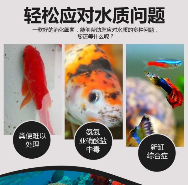 临沂商城汇多日用百货商行
