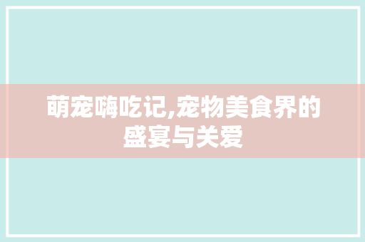 萌宠嗨吃记,宠物美食界的盛宴与关爱