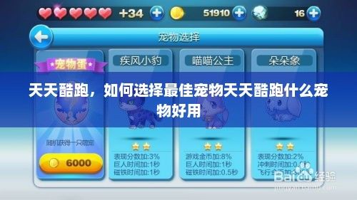 天天酷跑，如何选择最佳宠物天天酷跑什么宠物好用