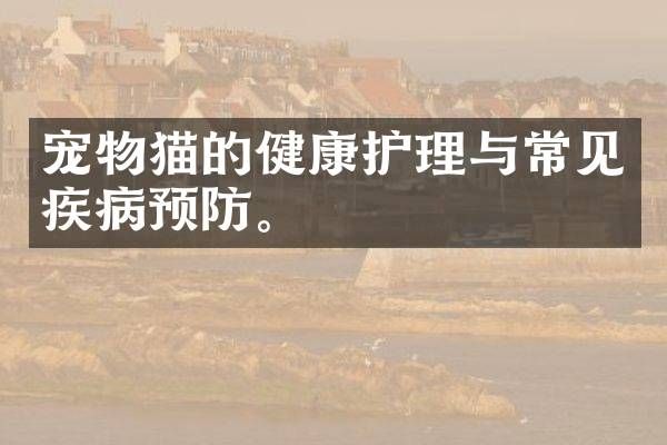 宠物猫的健康护理与常见疾病预防。