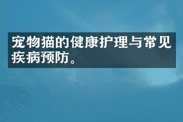 宠物猫的健康护理与常见疾病预防。