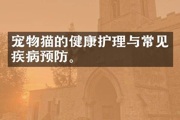 宠物猫的健康护理与常见疾病预防。