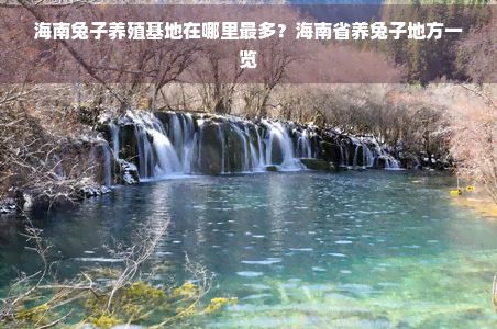 海南兔子养殖基地在哪里最多？海南省养兔子地方一览