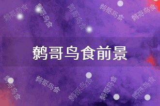 2025年鹩哥鸟食发展前景 趋势预测
