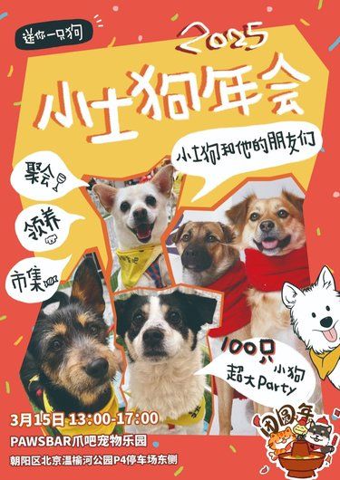 北京小土狗集合令！100只小田园的年会来啦！
