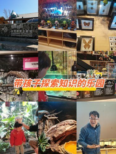 带孩子探索知识的乐园