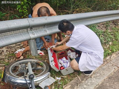 “车祸狗狗,紧急救助,时间就是生命!”