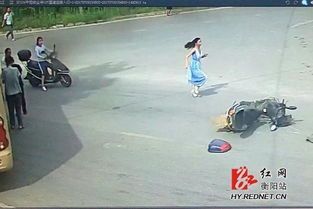 遭遇车祸宠物,及时救助是关键。