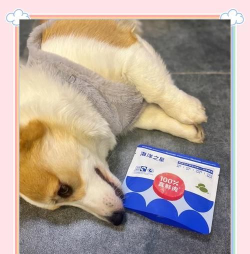 比熊幼犬去泪痕专用狗粮有哪些平价选择？