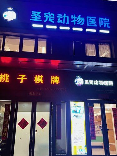 萌宠焕新，从圣宠洗护开始