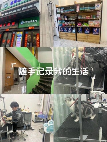 服务很好的宠物医院