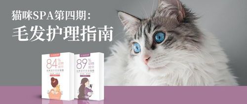 猫咪SPA好处:放松身心,促进血液循环,提升毛发光泽。宠物SPA,按摩放松。