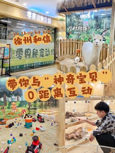 徐州和信丨带你与“神奇宝贝”0距离互动