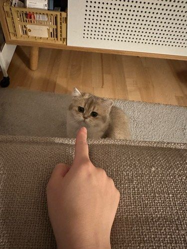 被讲了几句还敢还手了