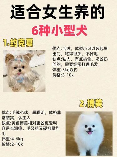 新手奶狗攻略