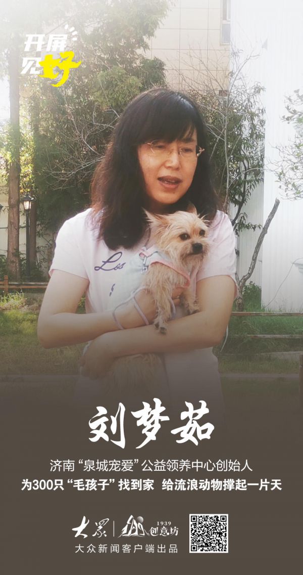 开屏见“好”|为300只“毛孩子”找到家,她用爱给流浪动物撑起一片天