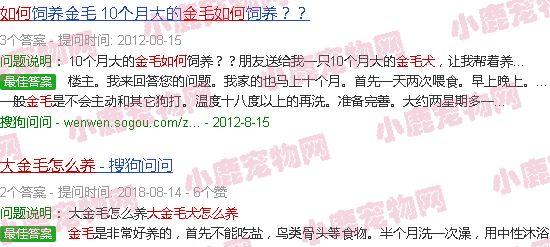 大金毛犬怎么养