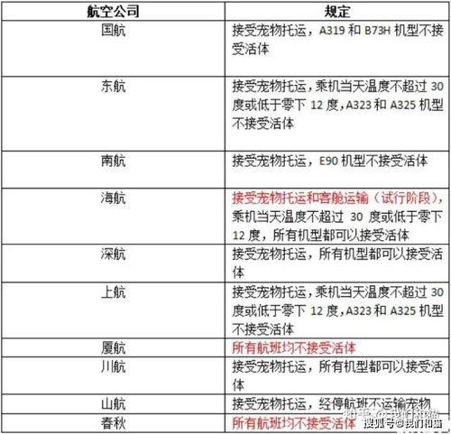 申通宠物托运怎么做？宠物托运前的准备和注意事项