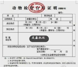 申通宠物托运怎么做？宠物托运前的准备和注意事项