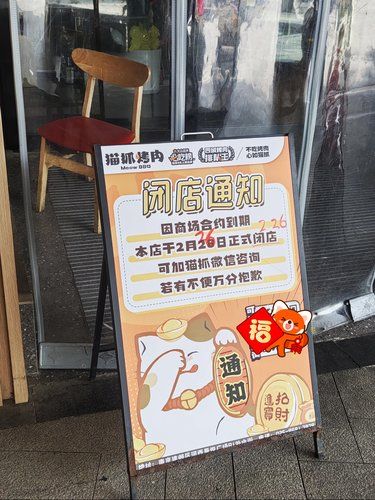 怎么回事❗️猫抓烤肉不香了吗❓️