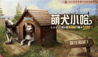 明日之后宠物食谱，养宠必备攻略！