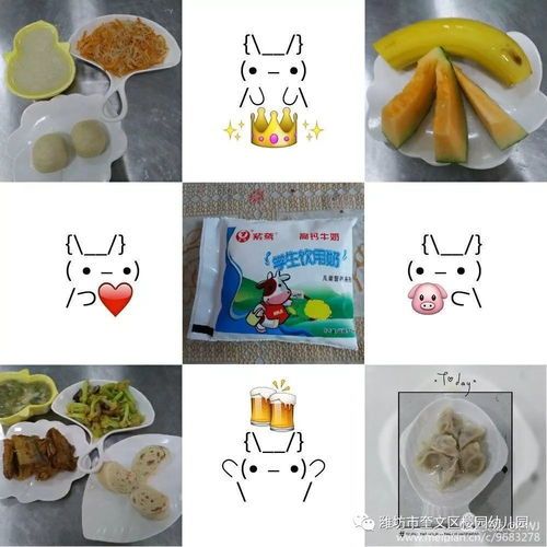 新猫拒食？营养食谱来帮忙！