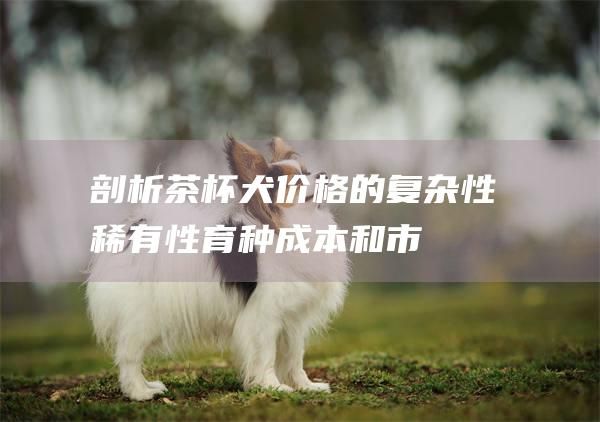 剖析茶杯犬价格的复杂性稀有性育种成本和市