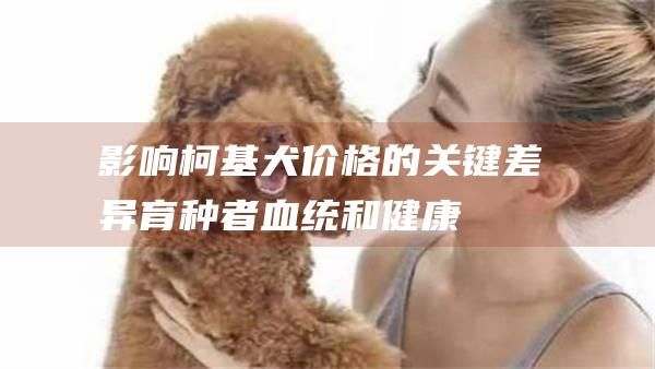 影响柯基犬价格的关键差异育种者血统和健康