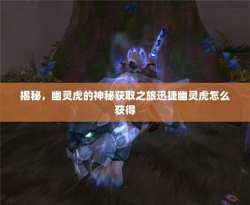揭秘，幽灵虎的神秘获取之旅迅捷幽灵虎怎么获得