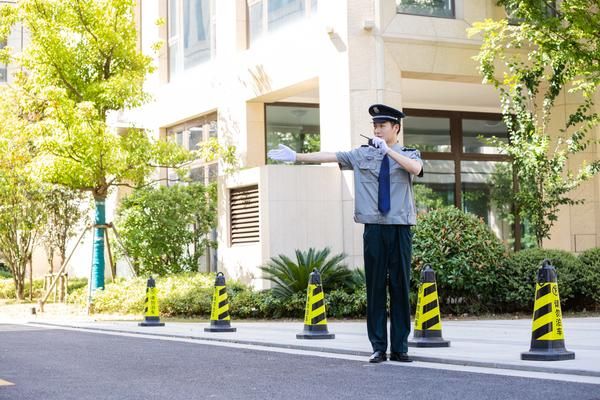 关爱宠物，拒绝拐卖：一起守护宠物安全图1