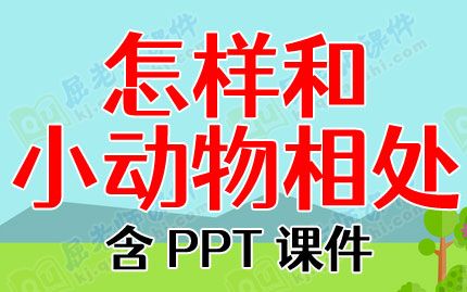 大班安全教案反思《怎样和小动物相处》含PPT课件图片