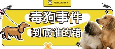 毒狗团伙数小时获利万元,宠物安全警钟长鸣!
