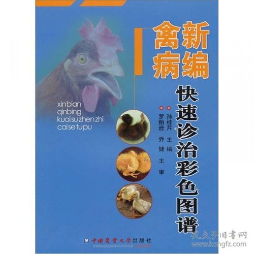 宠物安全