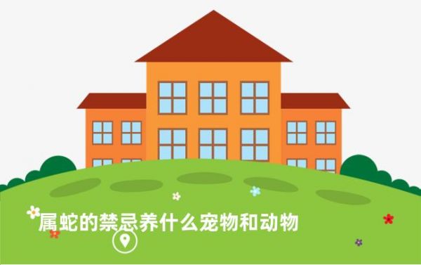 属蛇的禁忌养什么宠物和动物