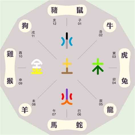 六畜对应五行,动物五行属性对照表