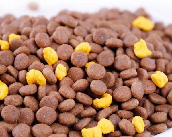 9斤柴犬每日狗粮推荐摄入量是多少？