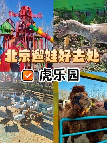 遛娃新去处！虎乐园，与小虎共舞