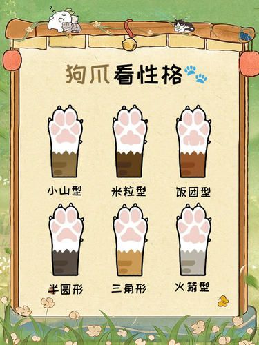 超准！从狗狗爪垫看性格啦✨