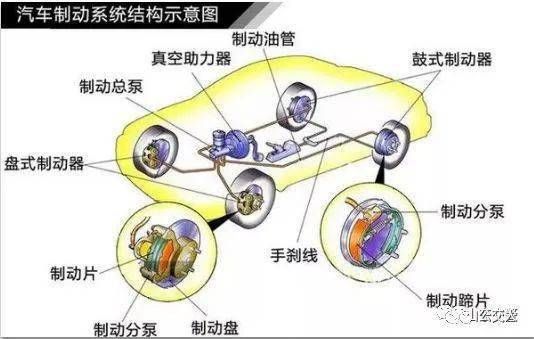 电梯里救狗狗，宠物救援小技巧！