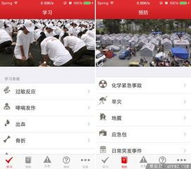 宠物急救指南，紧急情况应对秘籍！