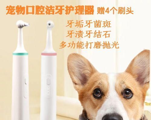 狗狗的常见牙科问题(探究狗狗的口腔健康,掌握——预防)