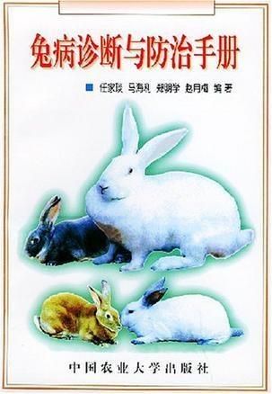 宠物鼠脚趾囊肿防治与护理指南